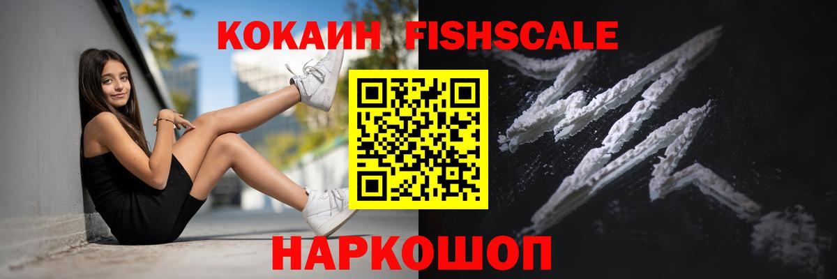 Кокаин FishScale  Усть-Илимск  КОКАИН Эквадор 