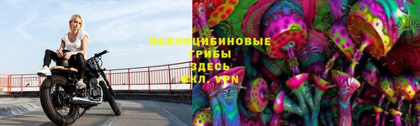 ECSTASY Абаза