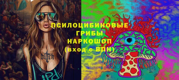 дмт Надым