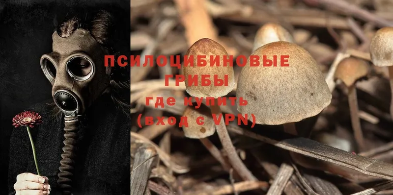 Галлюциногенные грибы Cubensis  МЕГА зеркало  Усть-Илимск  наркотики 