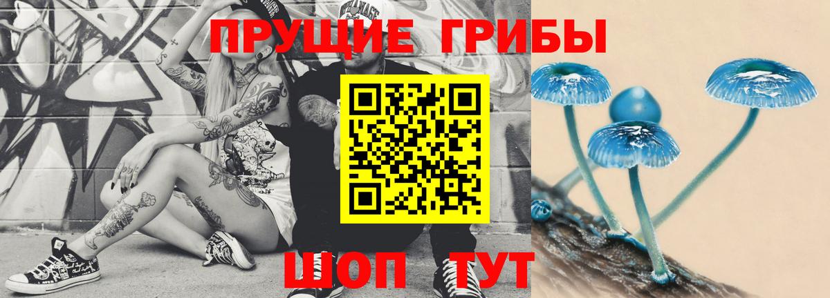 Псилоцибиновые грибы Psilocybine cubensis  Усть-Илимск  Псилоцибиновые грибы Psilocybe 