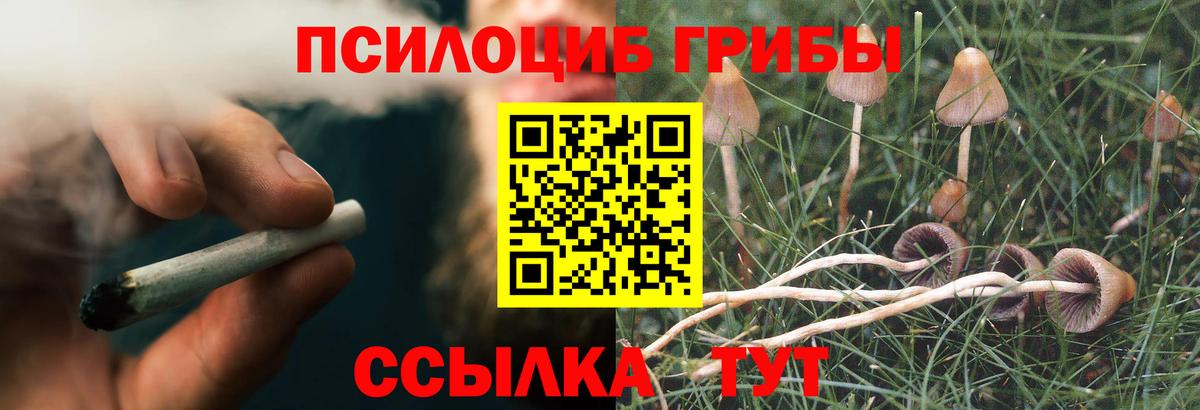 Галлюциногенные грибы мицелий Усть-Илимск